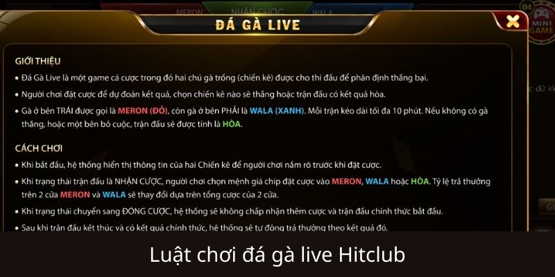 Hướng dẫn tham gia Đá gà Live Hitclub cho người mới