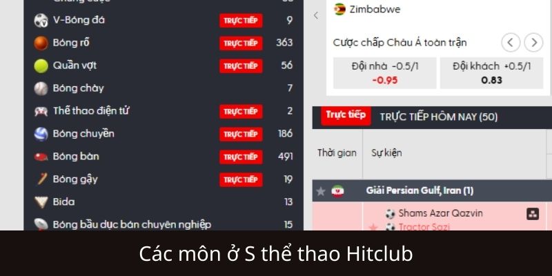 Các bộ môn cá cược hot tại sảnh S Thể thao Hitclub
